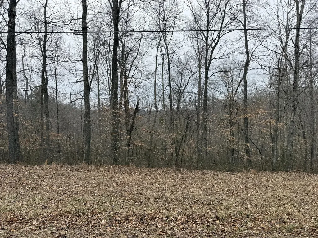 108 Ramsey Point Road Monticello KY 42633