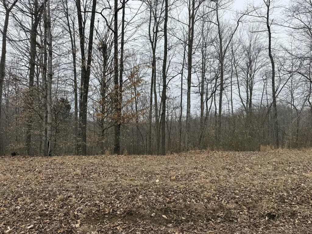 108 Ramsey Point Road Monticello KY 42633
