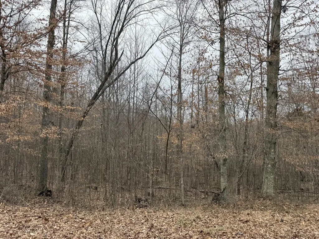 108 Ramsey Point Road Monticello KY 42633