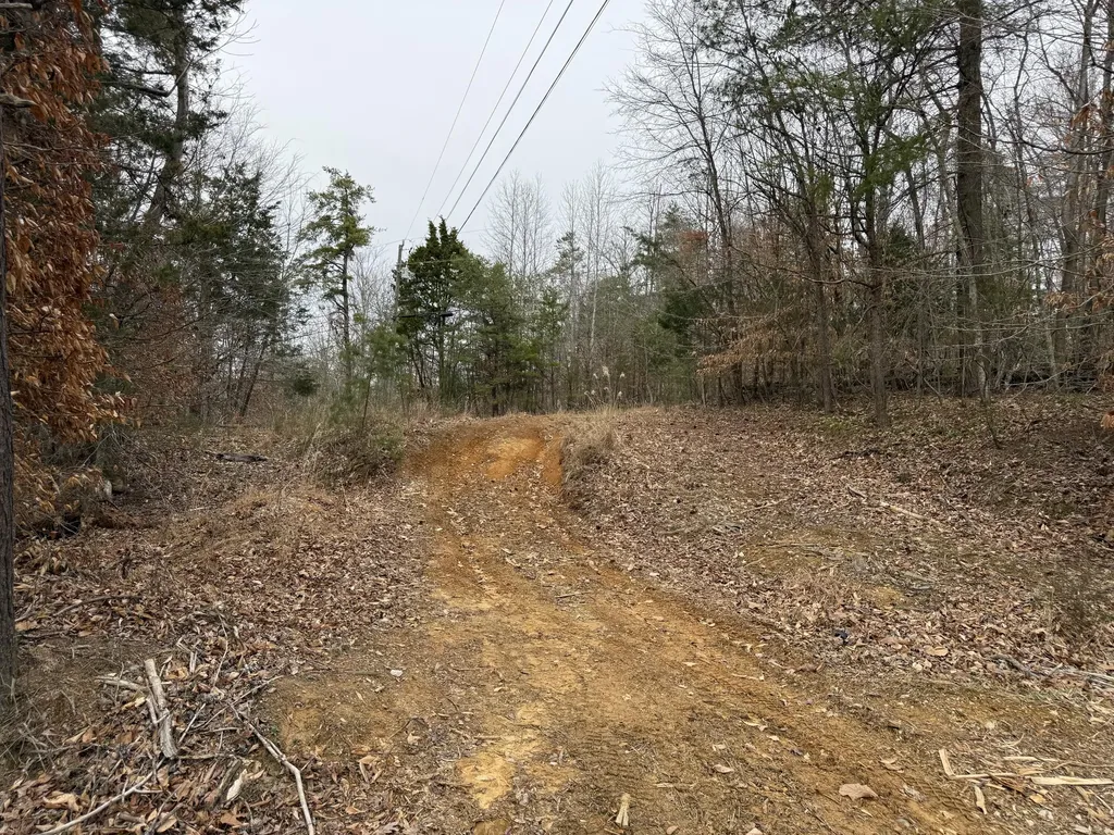 108 Ramsey Point Road Monticello KY 42633