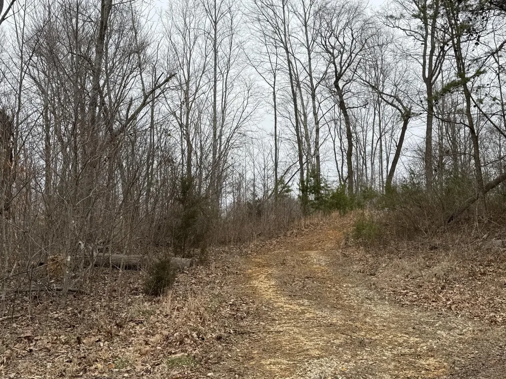 108 Ramsey Point Road Monticello KY 42633