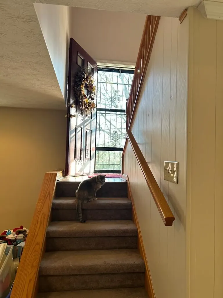 4301 Spencer Pike Mt Sterling KY 40353