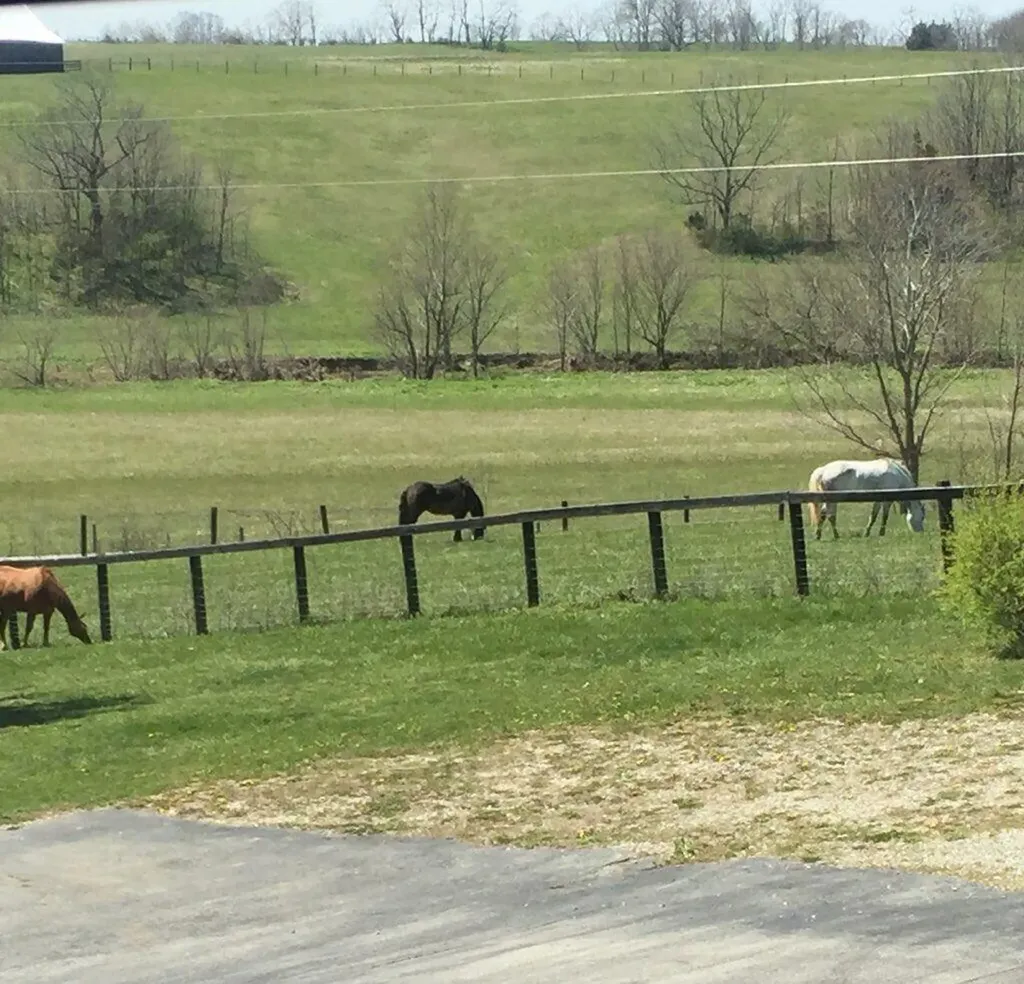 4301 Spencer Pike Mt Sterling KY 40353