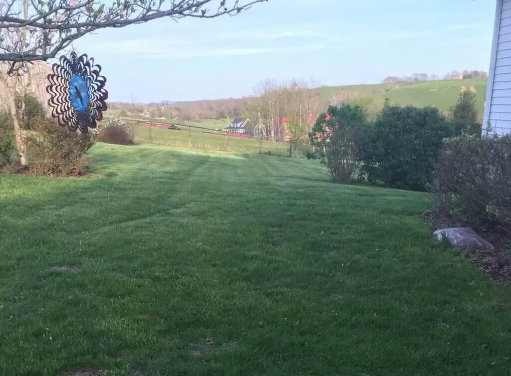 4301 Spencer Pike Mt Sterling KY 40353