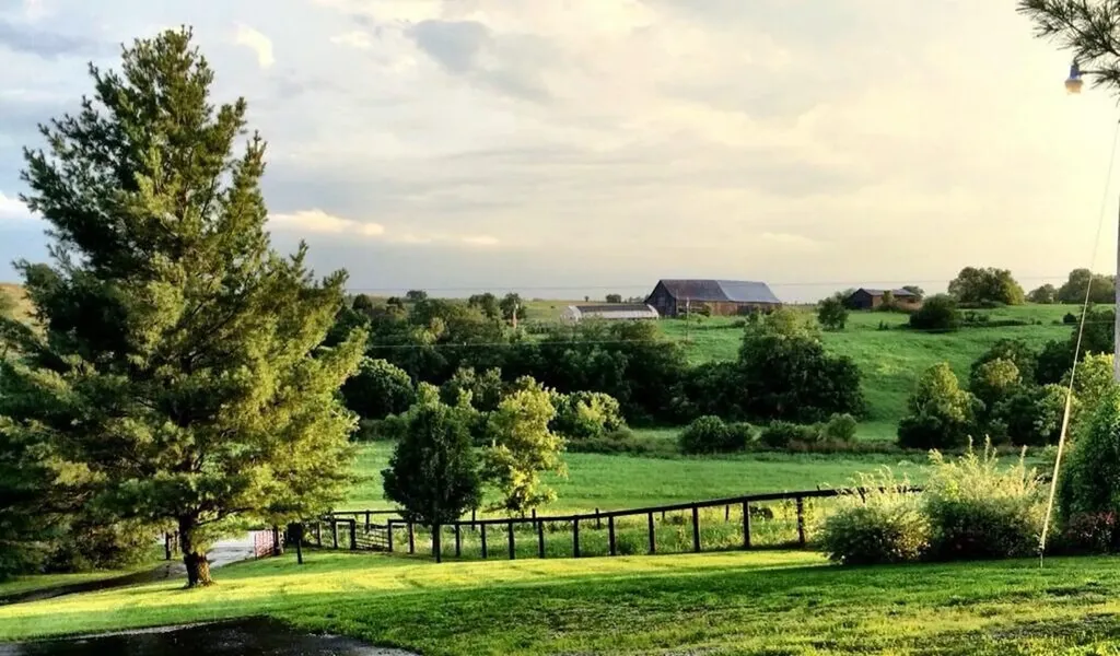 4301 Spencer Pike Mt Sterling KY 40353