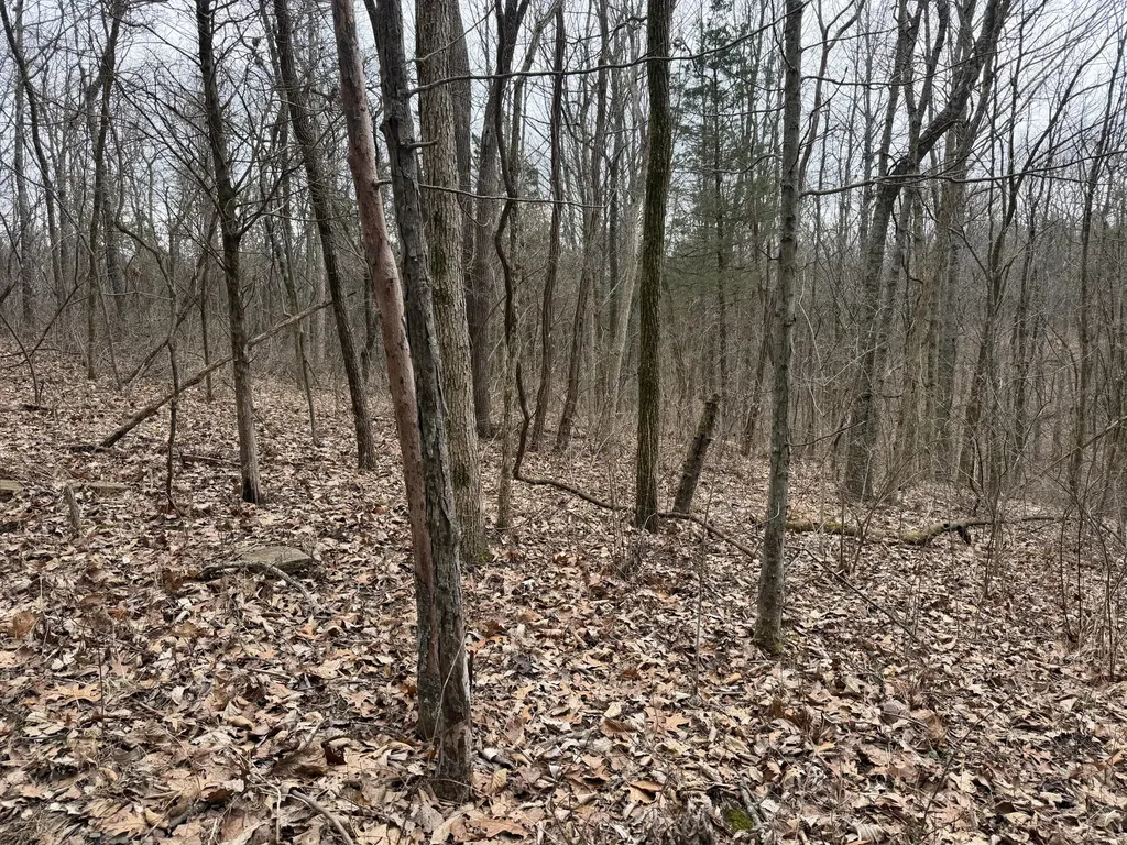 0000 Union Ridge Road Frankfort KY 40601