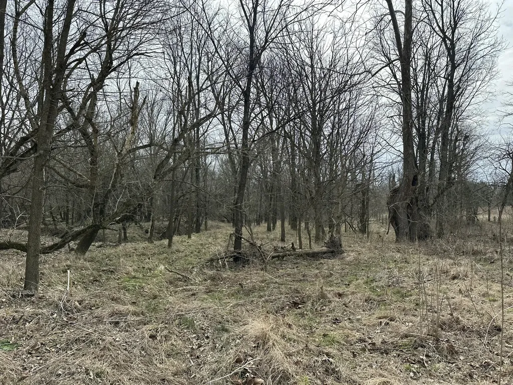 3887 Kentucky Highway 32 W Cynthiana KY 41031