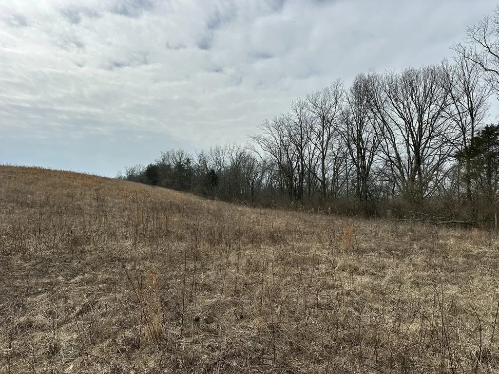 3887 Kentucky Highway 32 W Cynthiana KY 41031