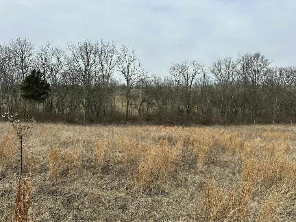 3887 Kentucky Highway 32 W Cynthiana KY 41031