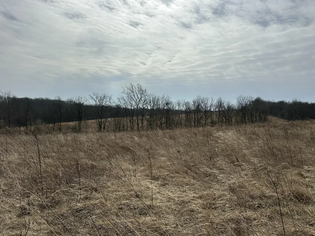 3887 Kentucky Highway 32 W Cynthiana KY 41031