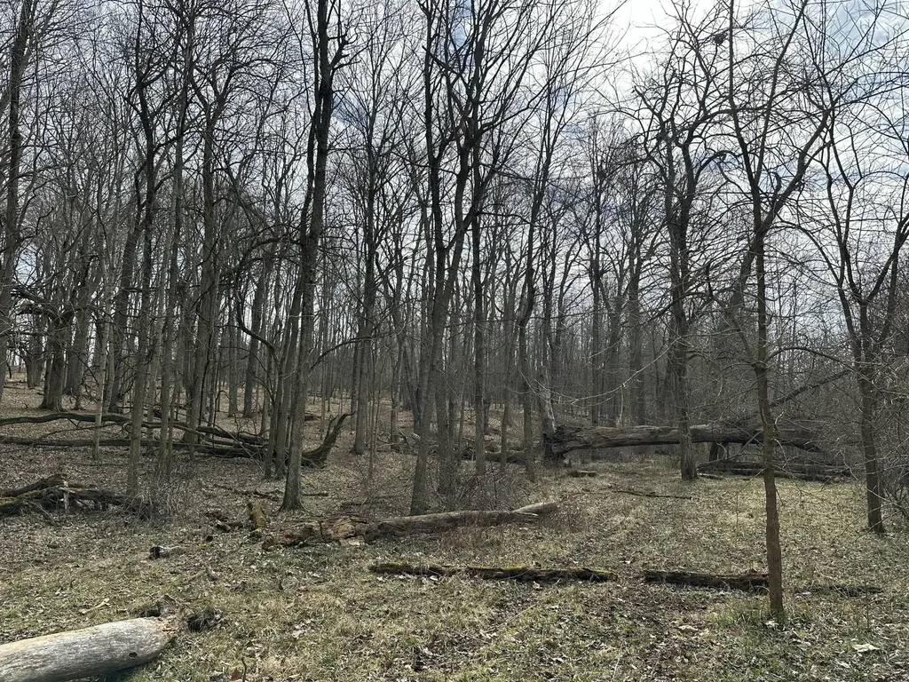 3887 Kentucky Highway 32 W Cynthiana KY 41031