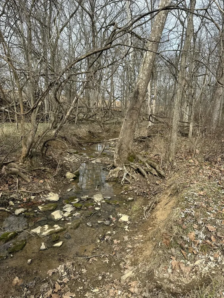 3887 Kentucky Highway 32 W Cynthiana KY 41031