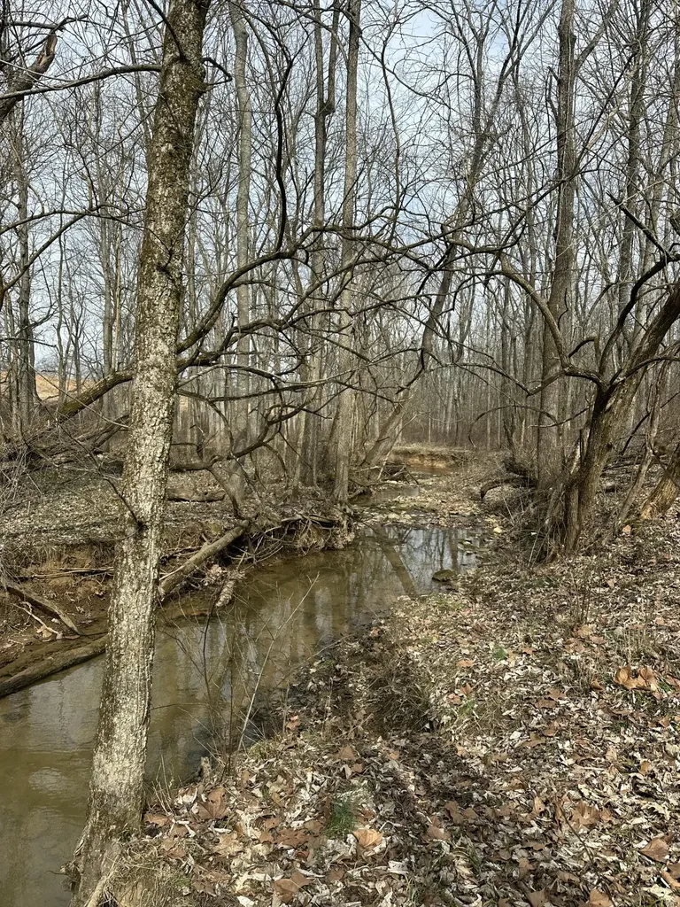 3887 Kentucky Highway 32 W Cynthiana KY 41031