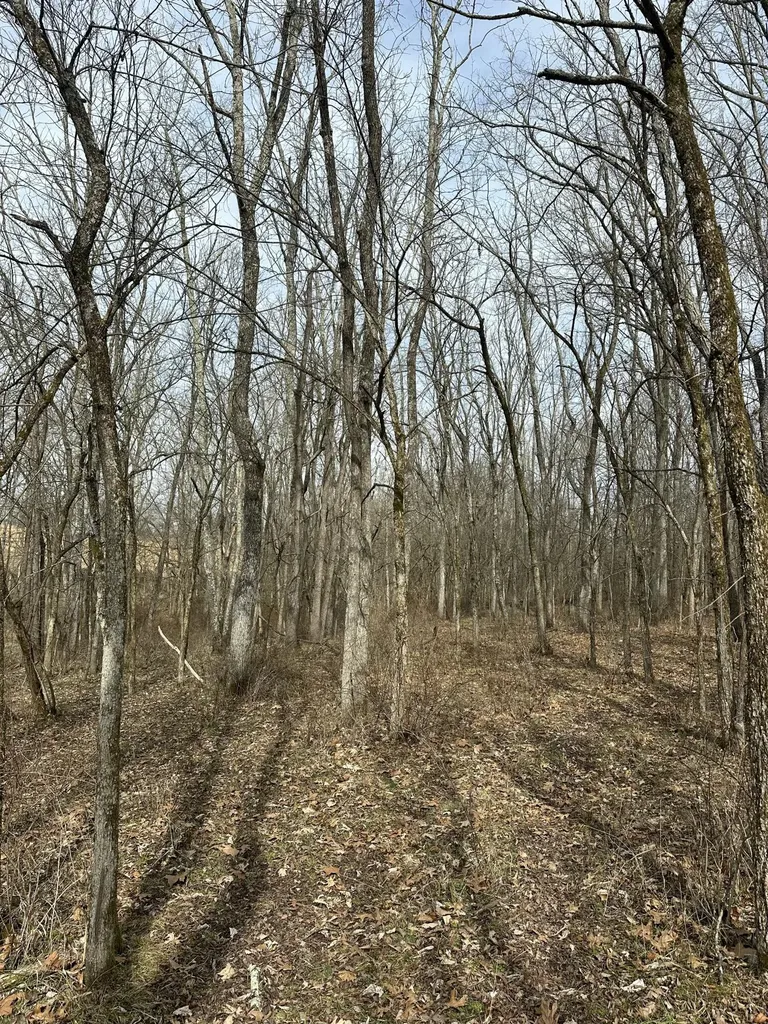 3887 Kentucky Highway 32 W Cynthiana KY 41031