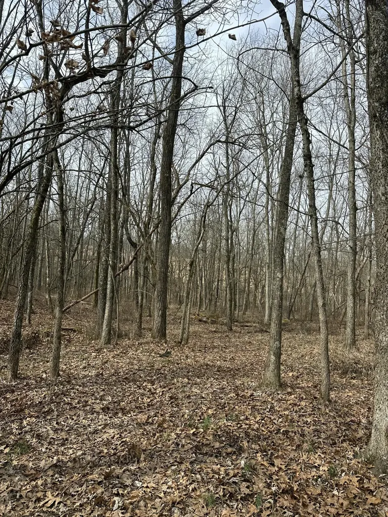3887 Kentucky Highway 32 W Cynthiana KY 41031