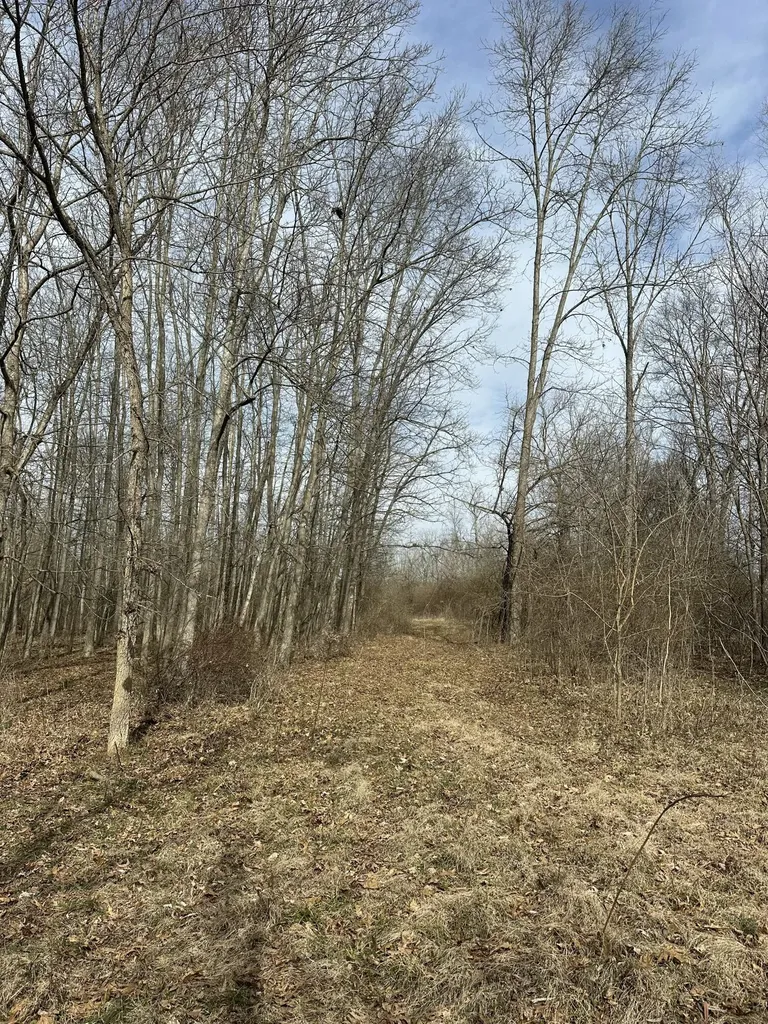 3887 Kentucky Highway 32 W Cynthiana KY 41031