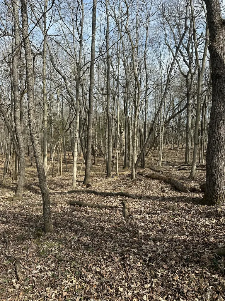 3887 Kentucky Highway 32 W Cynthiana KY 41031