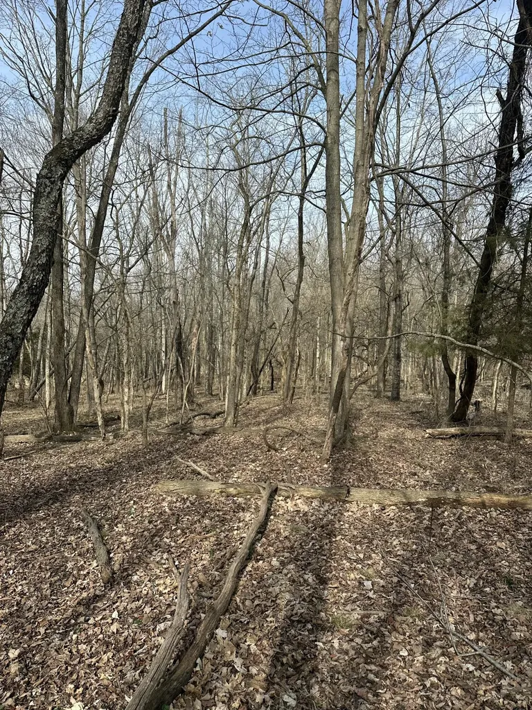 3887 Kentucky Highway 32 W Cynthiana KY 41031