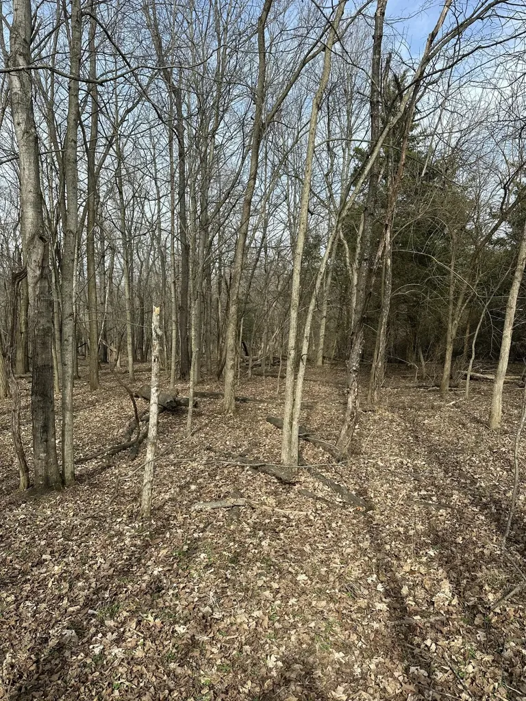 3887 Kentucky Highway 32 W Cynthiana KY 41031