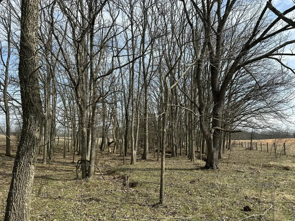 3887 Kentucky Highway 32 W Cynthiana KY 41031