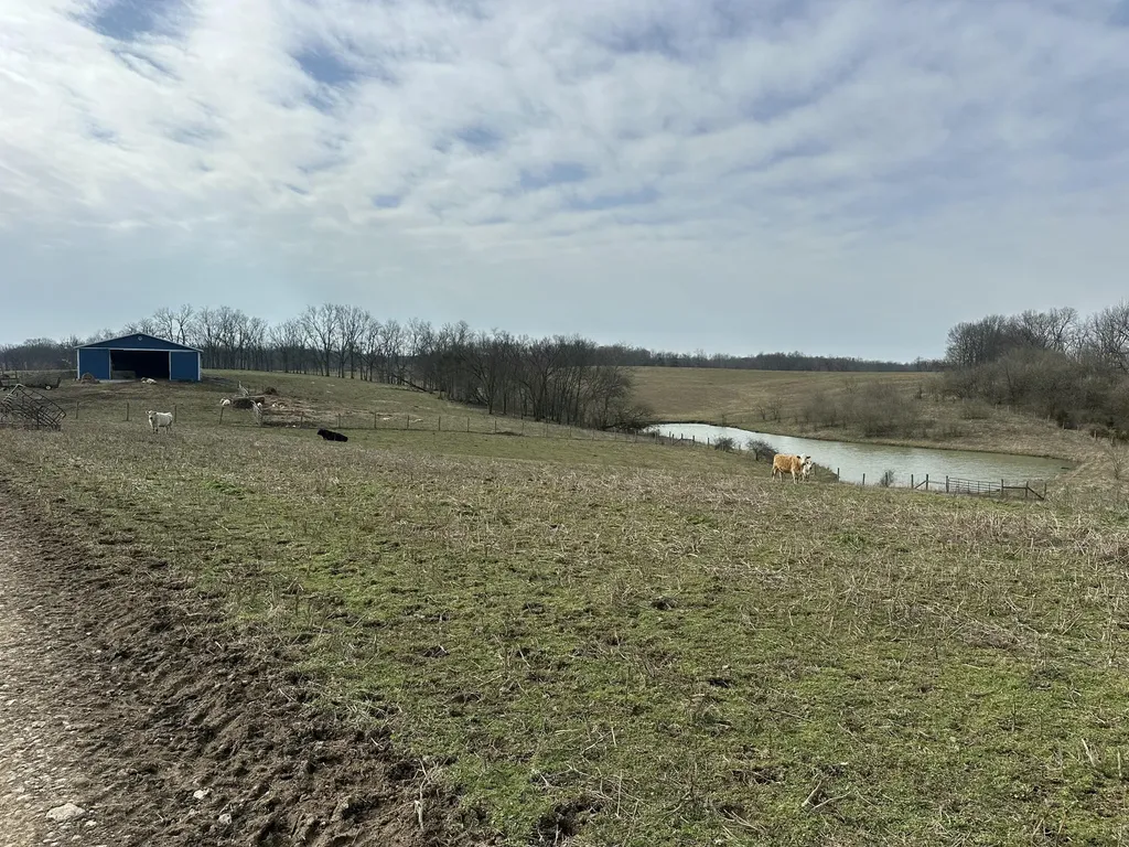 3887 Kentucky Highway 32 W Cynthiana KY 41031