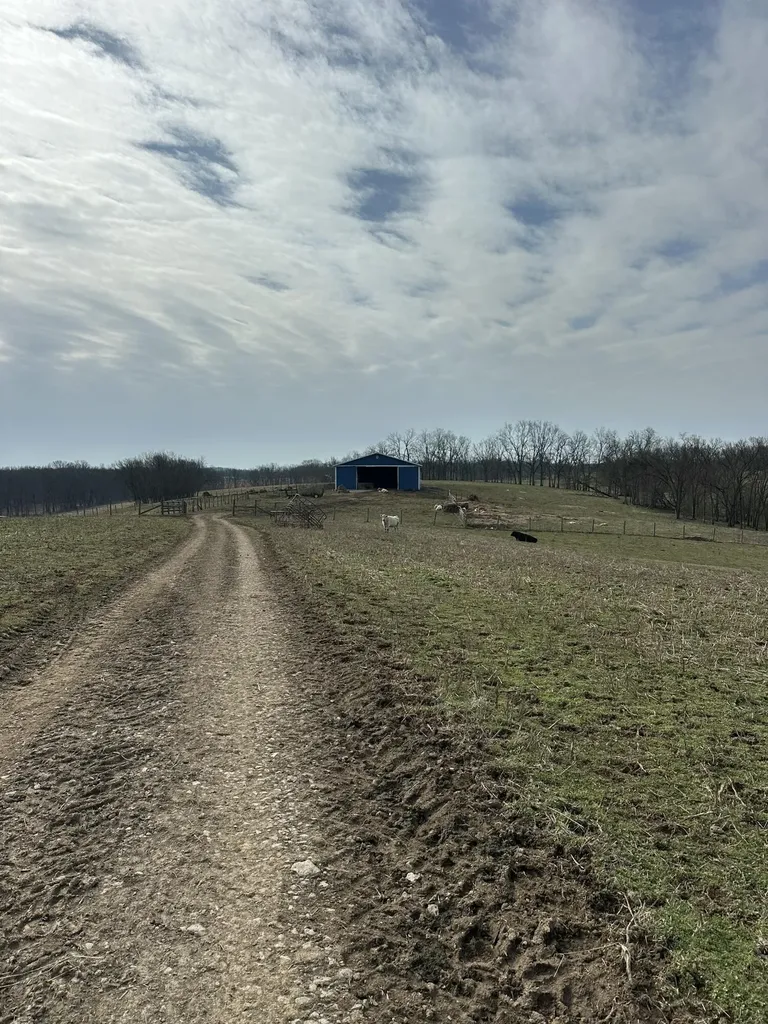 3887 Kentucky Highway 32 W Cynthiana KY 41031