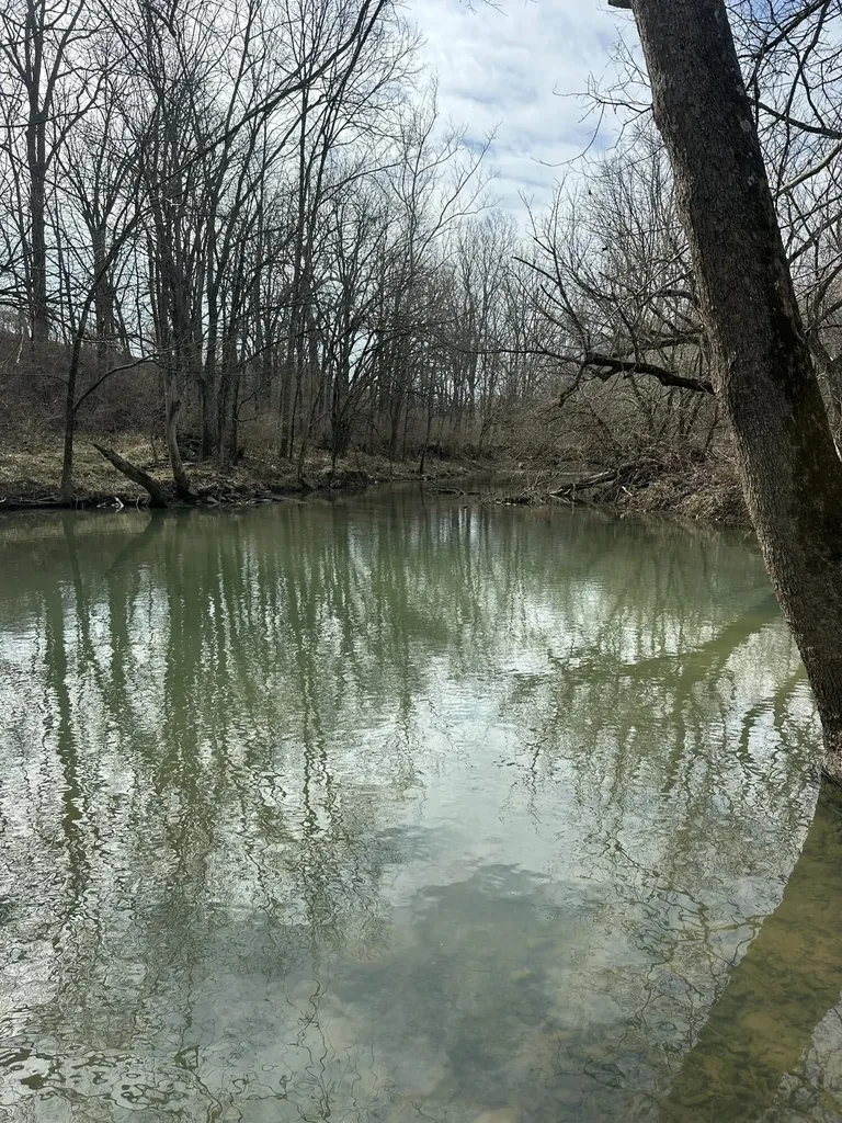 3887 Kentucky Highway 32 W Cynthiana KY 41031