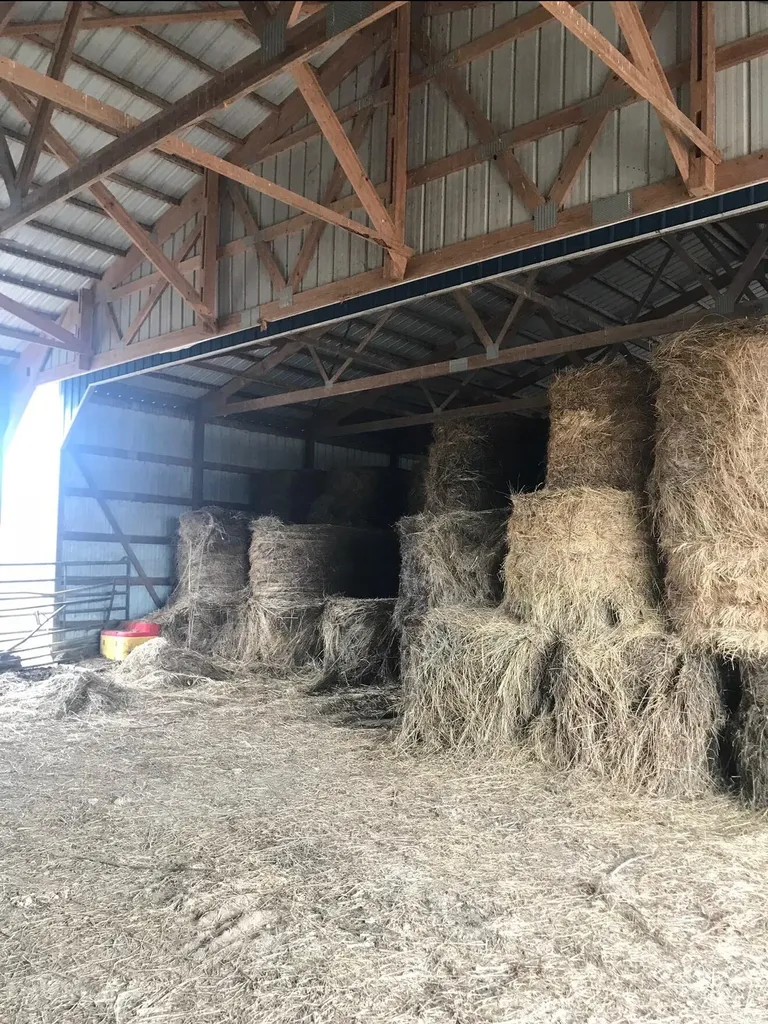 3887 Kentucky Highway 32 W Cynthiana KY 41031