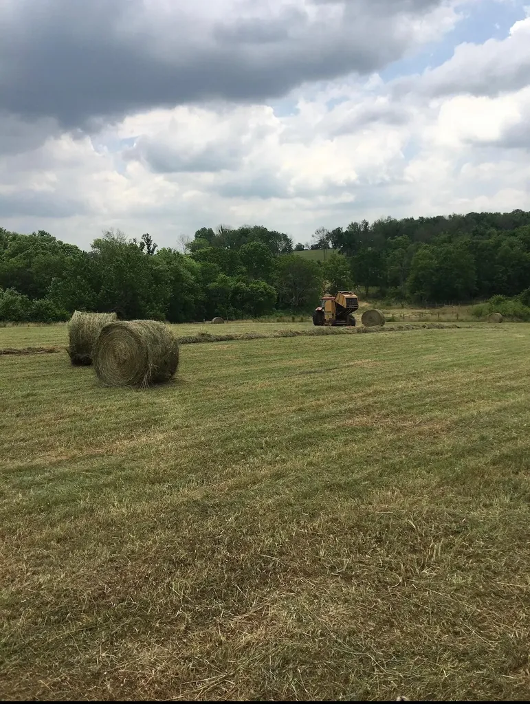 3887 Kentucky Highway 32 W Cynthiana KY 41031