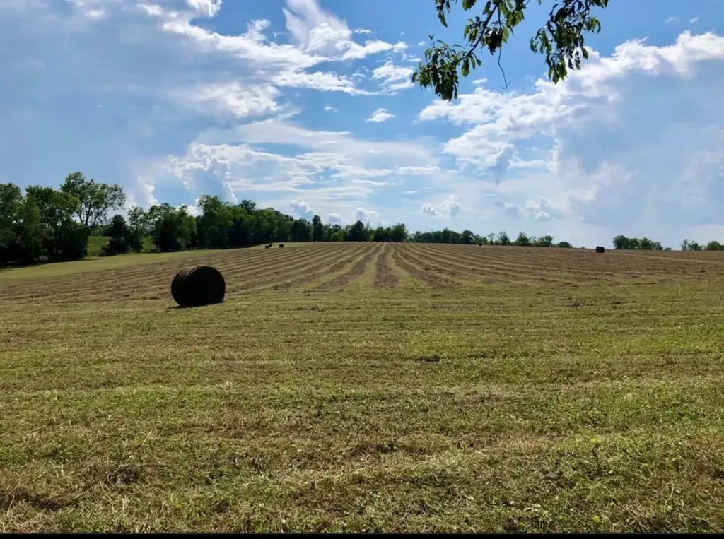 3887 Kentucky Highway 32 W Cynthiana KY 41031