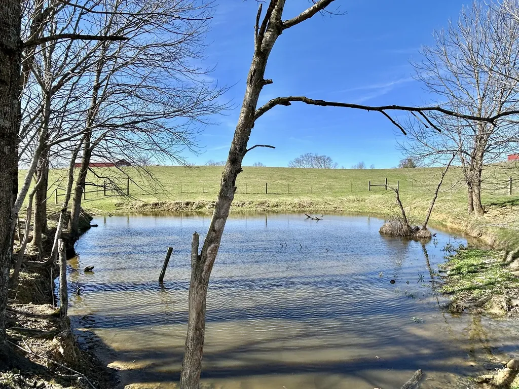 3175 Ard Ridge Road Nancy KY 42544