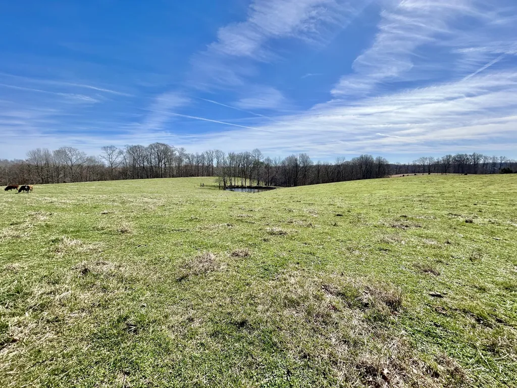 3175 Ard Ridge Road Nancy KY 42544