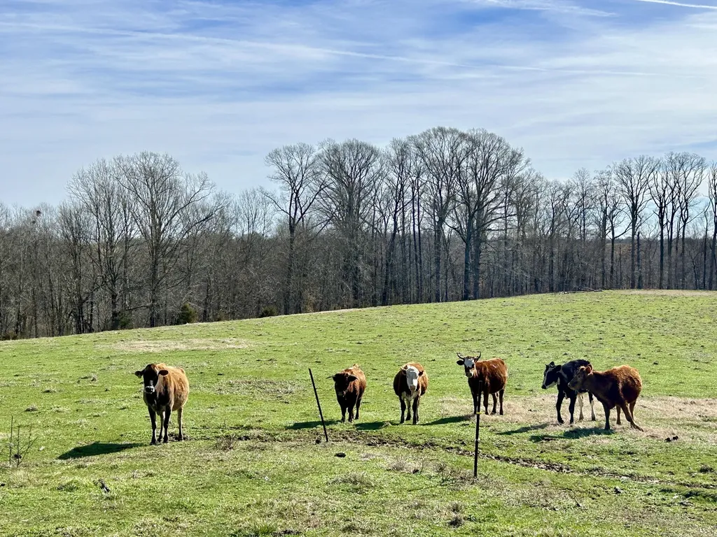 3175 Ard Ridge Road Nancy KY 42544