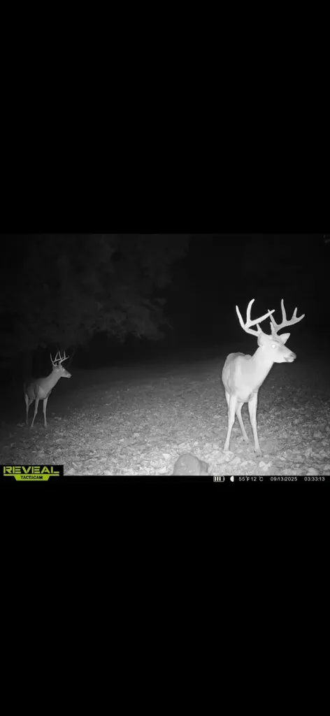 150 Lecompte Bottom Road Pleasureville KY 40057