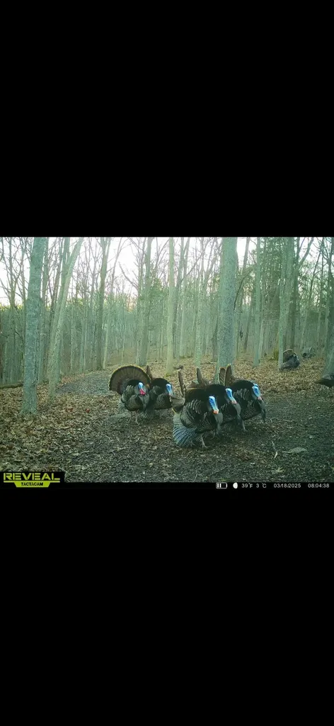 150 Lecompte Bottom Road Pleasureville KY 40057