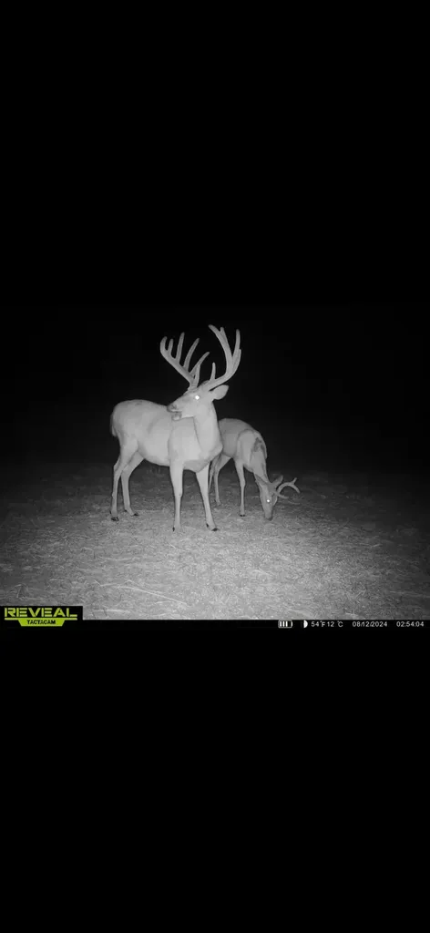 150 Lecompte Bottom Road Pleasureville KY 40057