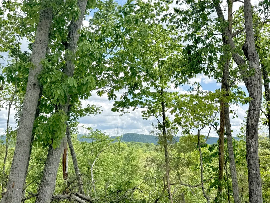Lot 4 Woodland Estates Irvine KY 40336