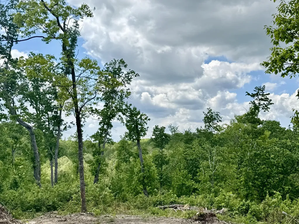 Lot 4 Woodland Estates Irvine KY 40336