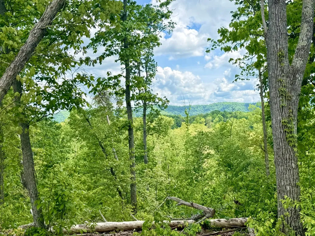 Lot 4 Woodland Estates Irvine KY 40336