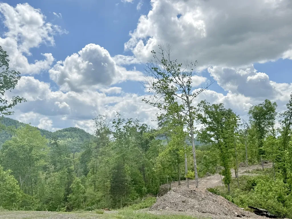 Lot 4 Woodland Estates Irvine KY 40336