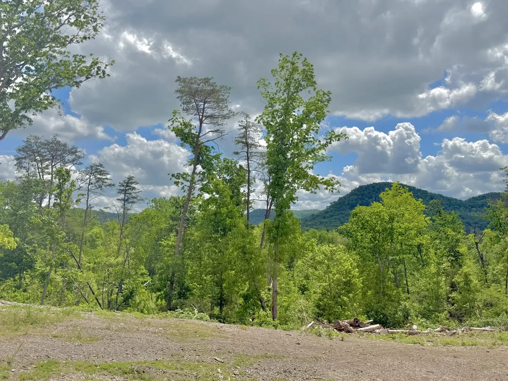 Lot 4 Woodland Estates Irvine KY 40336