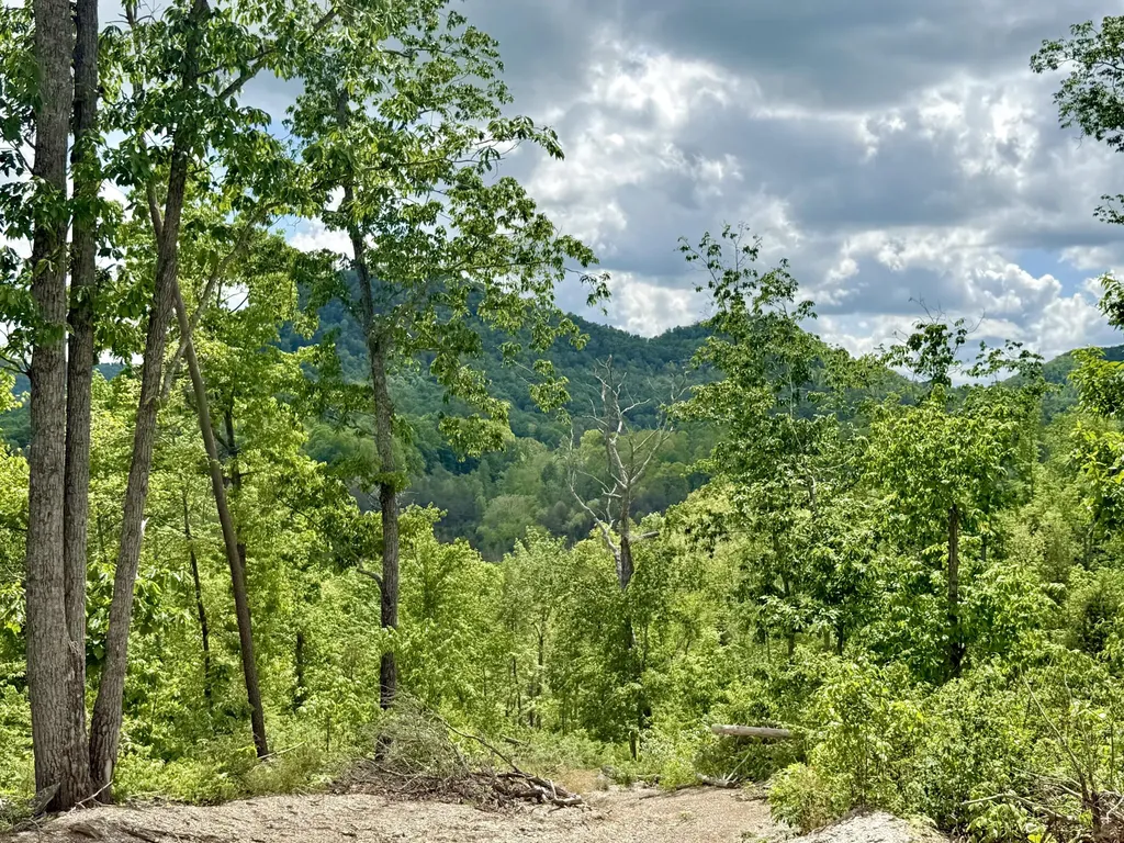 Lot 4 Woodland Estates Irvine KY 40336