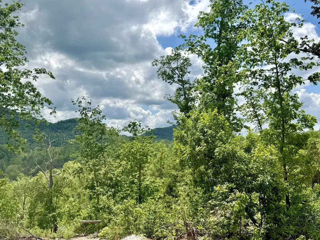 Lot 4 Woodland Estates Irvine KY 40336