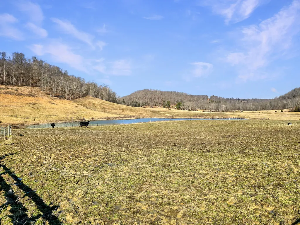 423 Loop Road Hustonville KY 40437