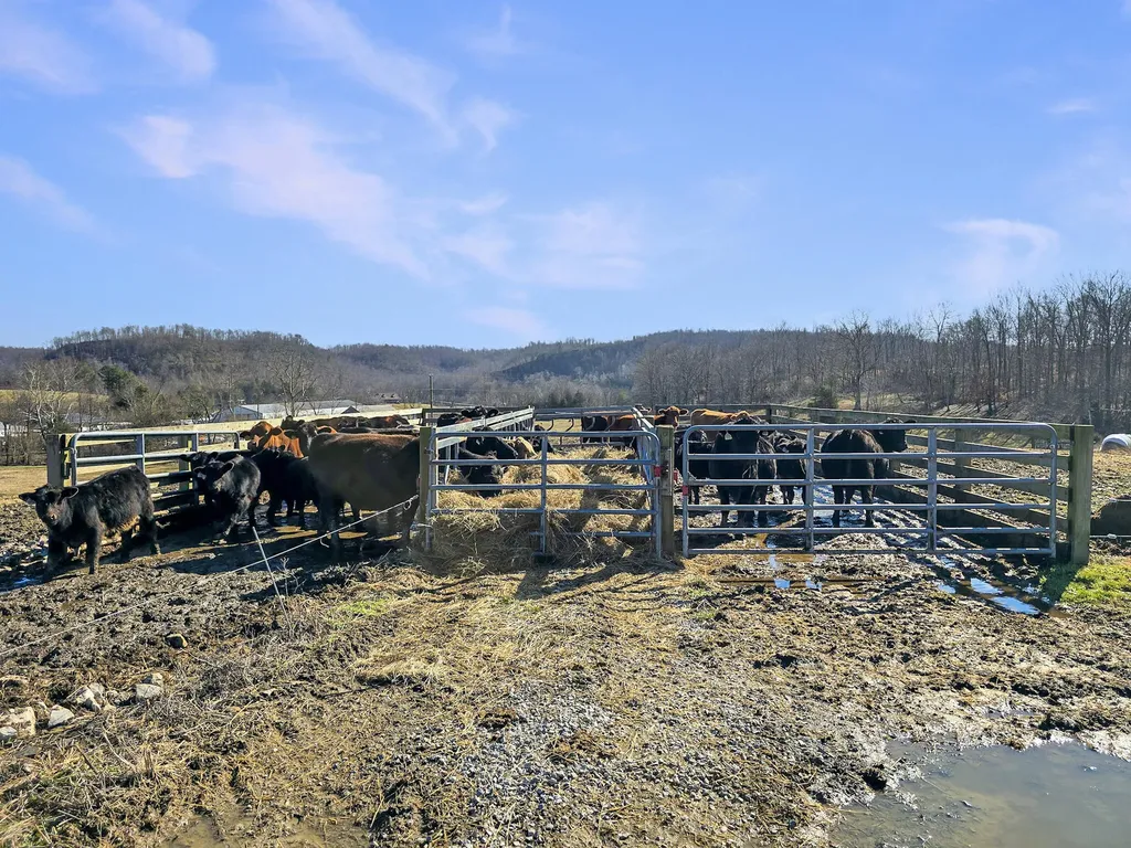 423 Loop Road Hustonville KY 40437