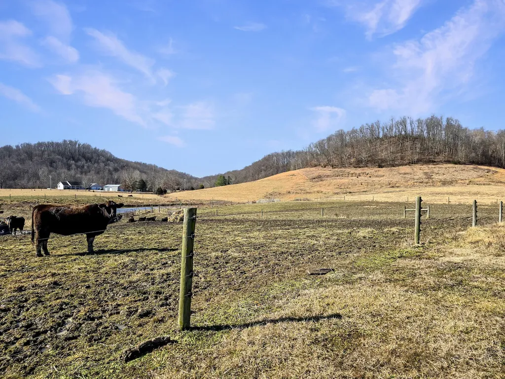 423 Loop Road Hustonville KY 40437