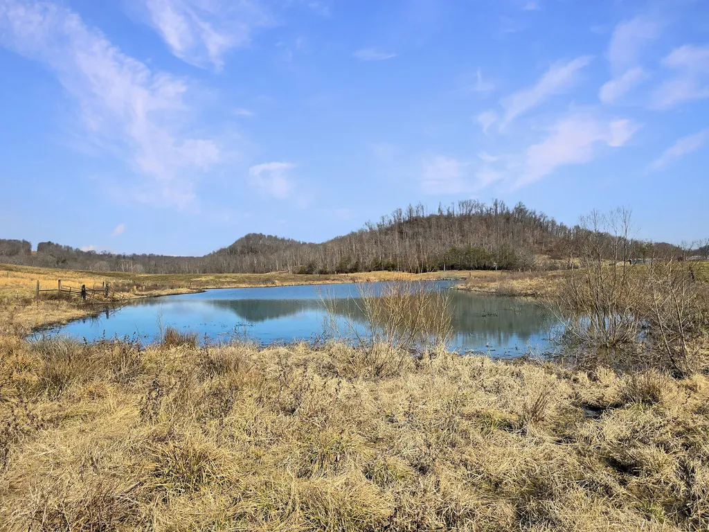 423 Loop Road Hustonville KY 40437