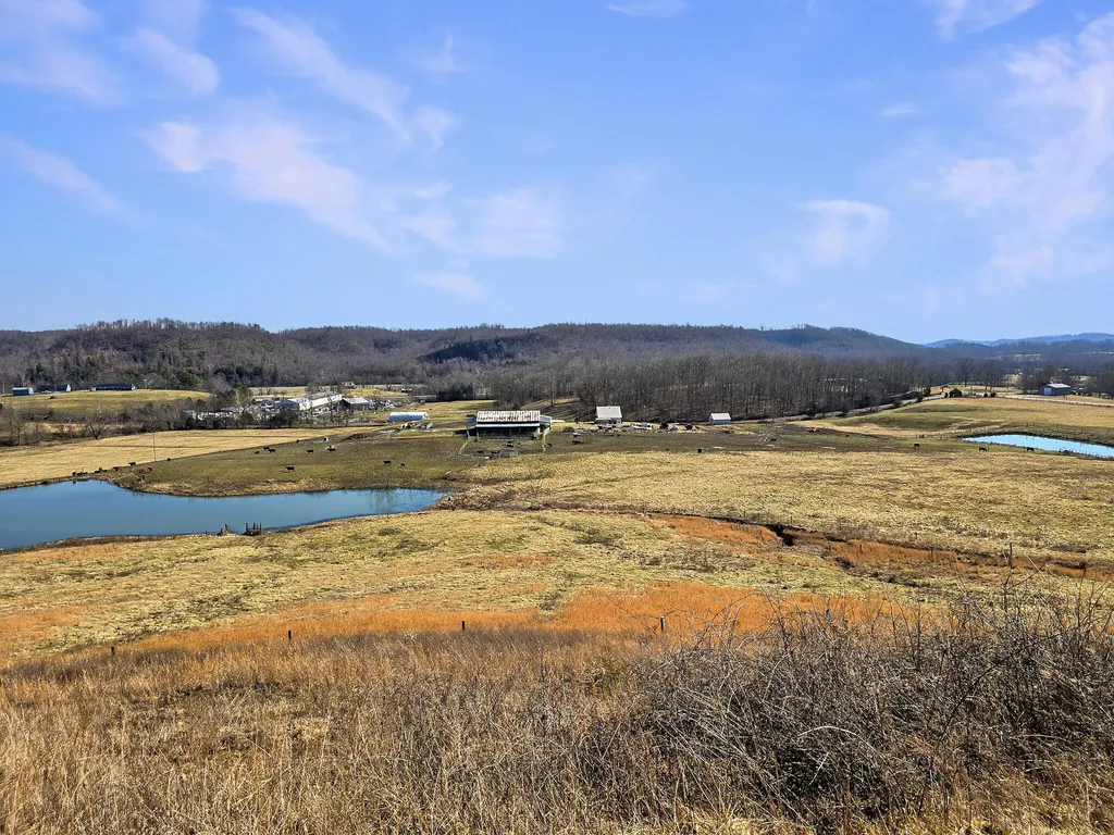423 Loop Road Hustonville KY 40437