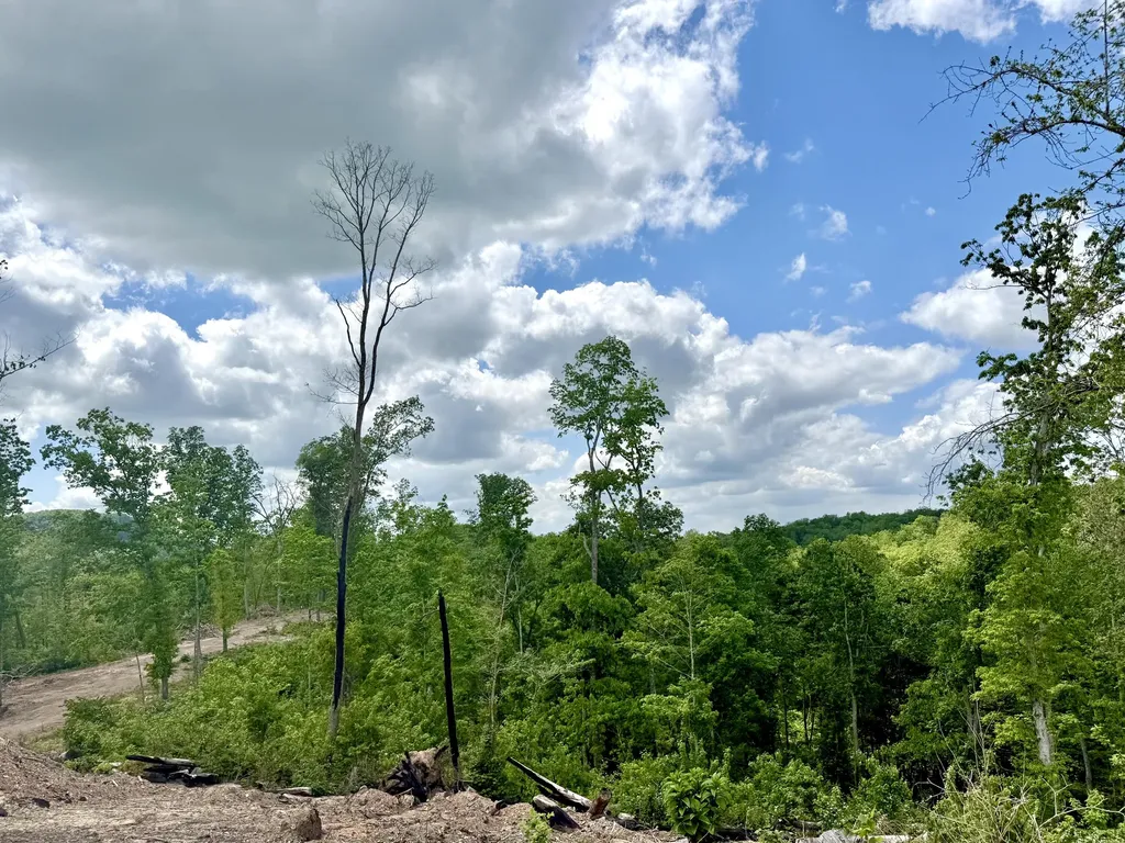 Lot 5 Woodland Estates Irvine KY 40336