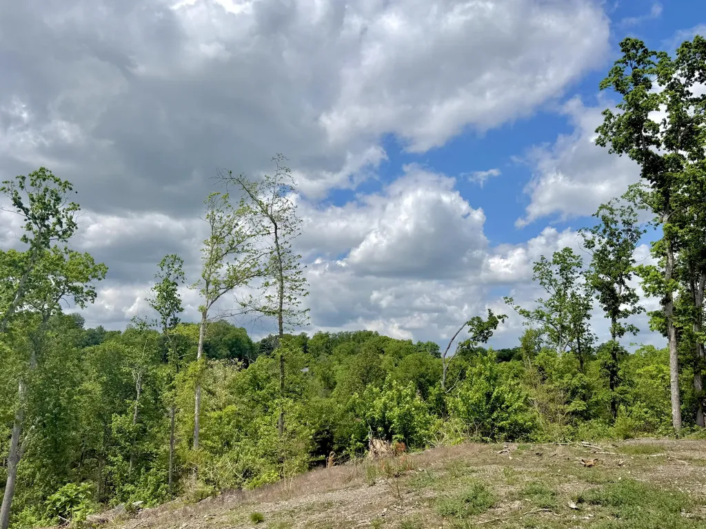 Lot 5 Woodland Estates Irvine KY 40336